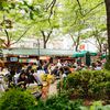 Midtown Pocket Park Hosts Pop-Up Food Market For Autumn